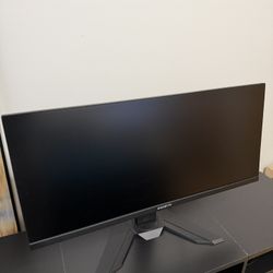 Gigabyte Gaming Monitor 