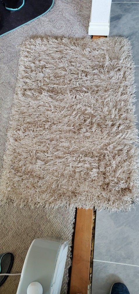 Shaggy Area Rug 30x45