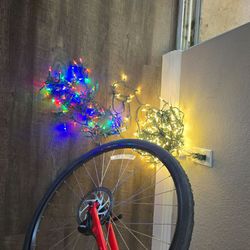 Christmas lights