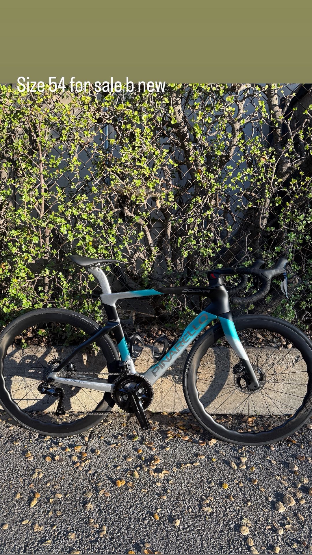 Pinarello Dogma F 2025 Size 53/54