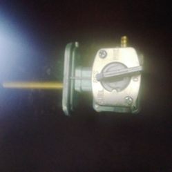 Small Engine Fuel Valve4