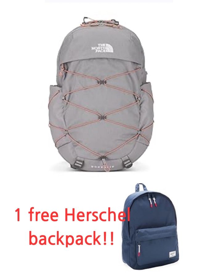 The North Face backpack / 1 Free Herschel Backpack!!