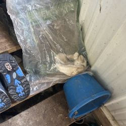 Boot And Shoes For Sale