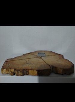 PETRIFIED WOOD SLAB - COASTER 9"×7"  - A90