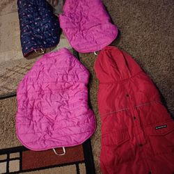 Dog Coats Two Size Large N Two Size X Large For 10.00 Each