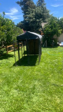 Cages for dogs — 8ft x 4ft