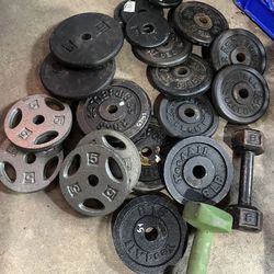 100 Lbs + Assorted Lifting Plates 