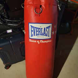 Everlast Heavy Bag