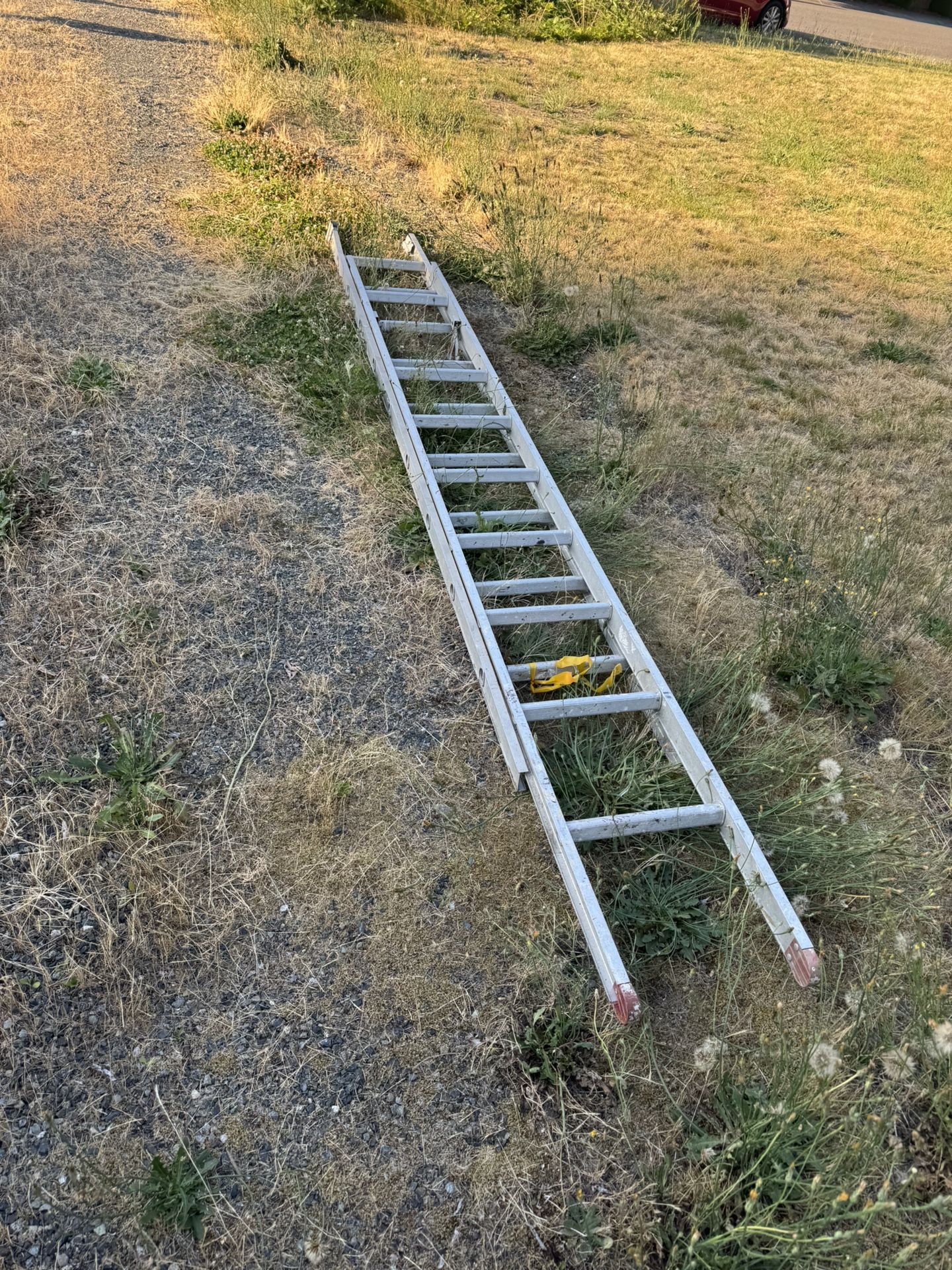 Ladder