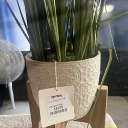 Plastic Plant