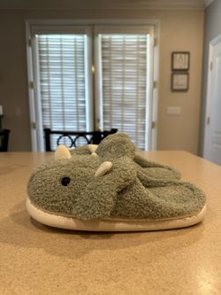 Dinosaur Slippers - Size 9/10 - New 