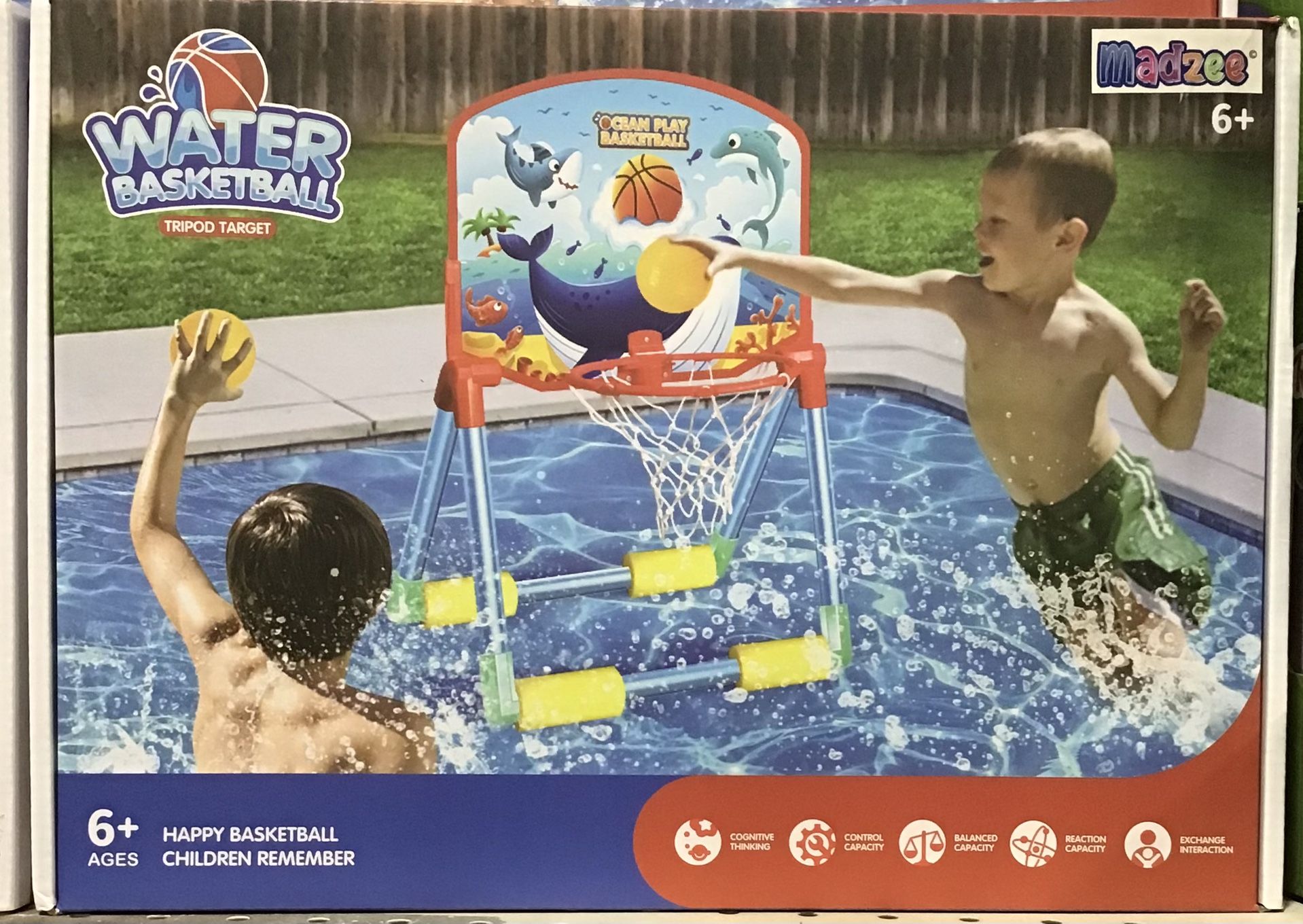 Pool Basketball Hoop