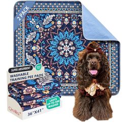 Qeils Washable Pee Pads, Reusable Puppy Pads Super Absorbent Leakproof Dog Training Pads, Non-Slip Wee Wee Pads for Crate, Floor, Potty Pads Feeding M
