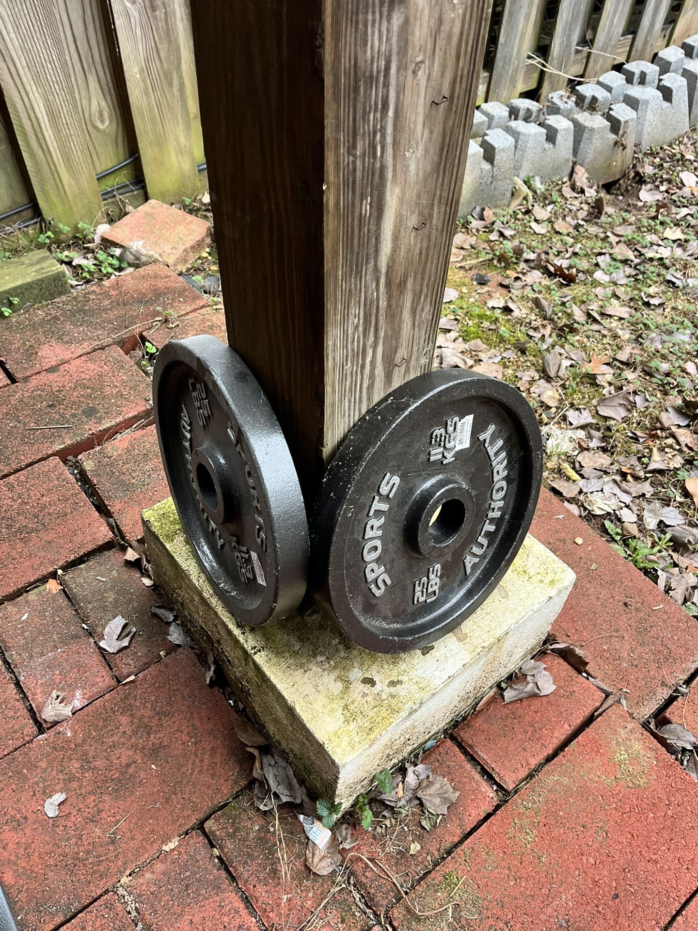 2x25 Lb Weight Plates