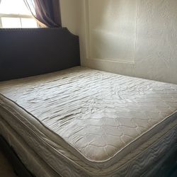 Free Queen Mattress
