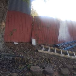 Fence 
