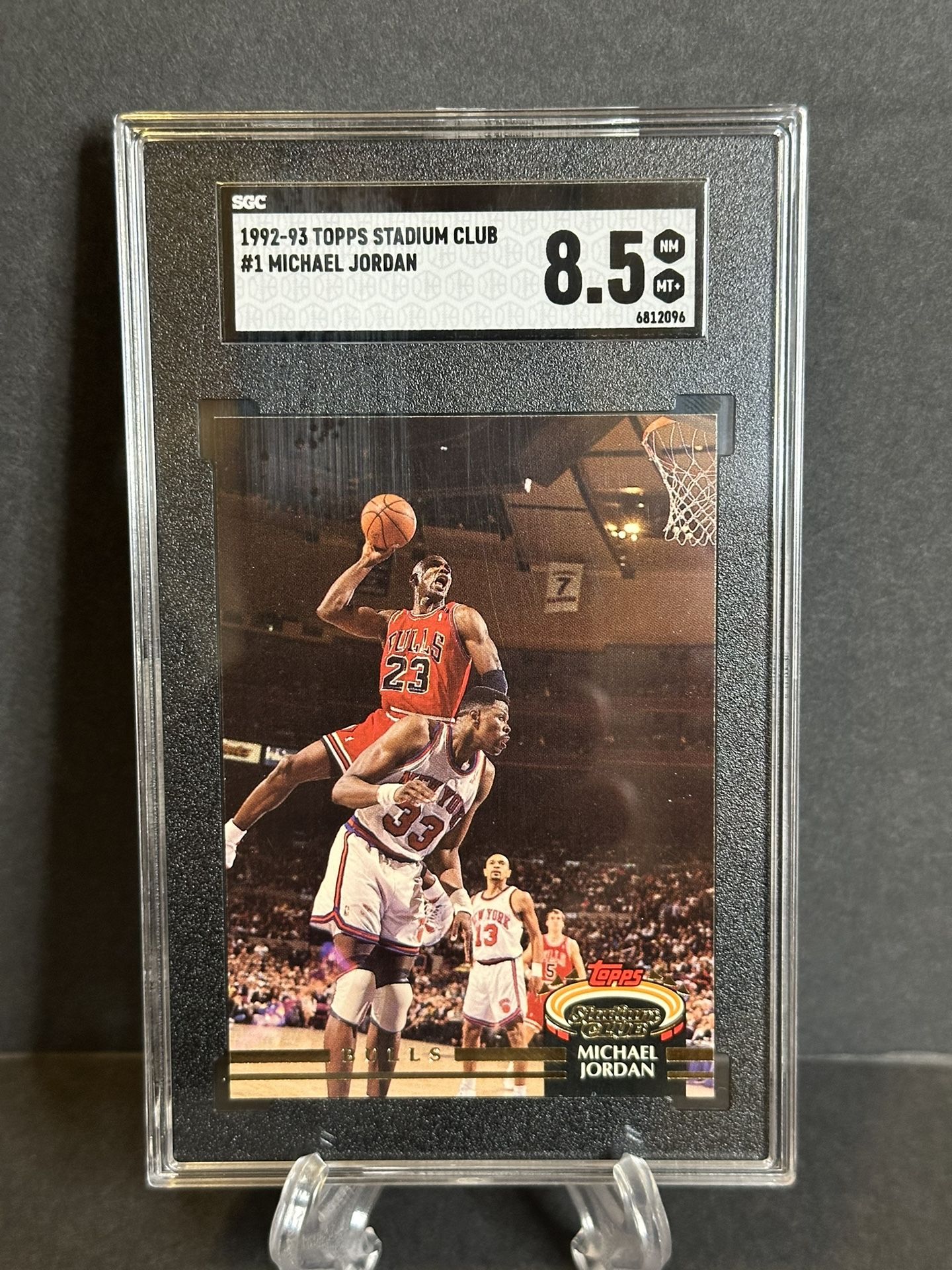 Michael Jordan ( the dunk over pat ) Slab