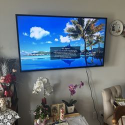We Mount TVs 📺