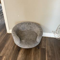 Cat Or Little Dog Sofa