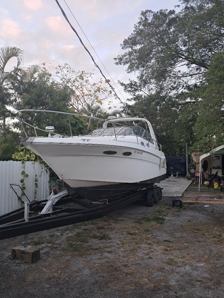 Sea Ray 29 Pies