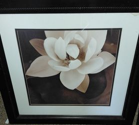 Framed Magnolia Flower Wall Art Print