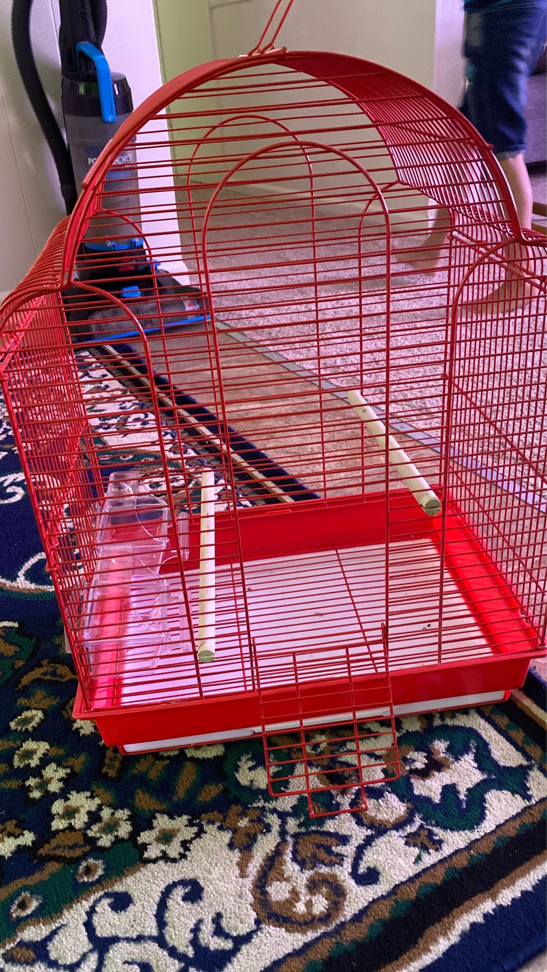 Birdcage