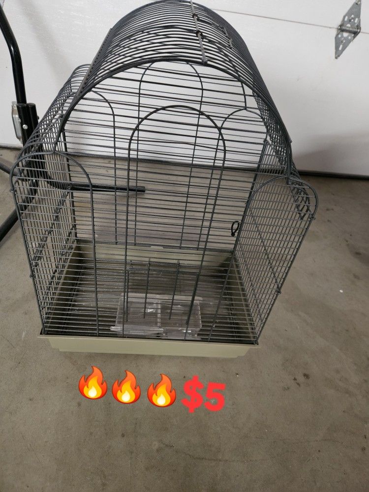 Bird Cage