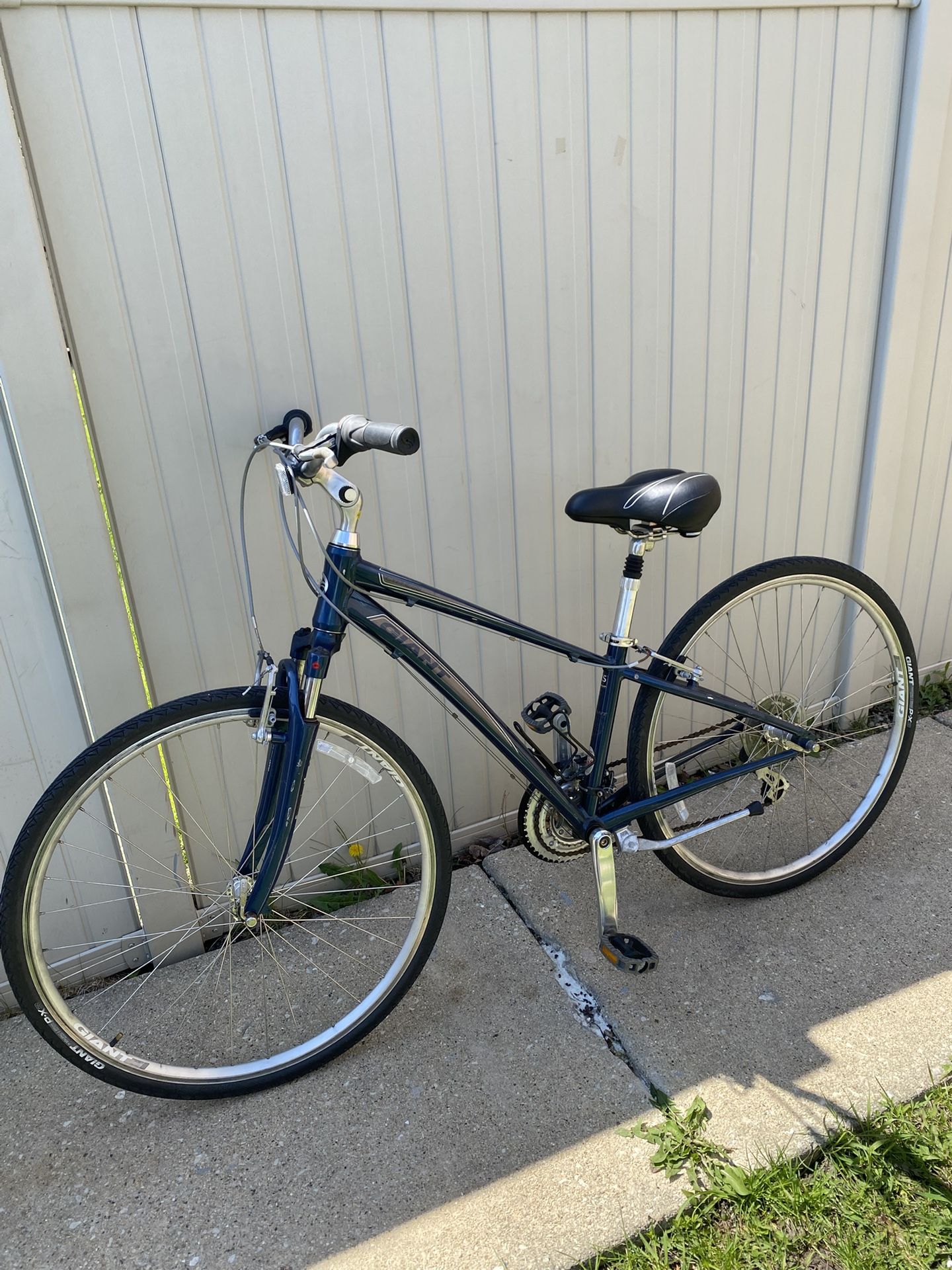 Giant Bike