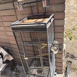 Bird Cage 
