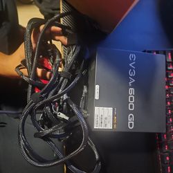 EVGA 600 GD 