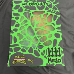 MB.04 TMNT L&M size 10/5