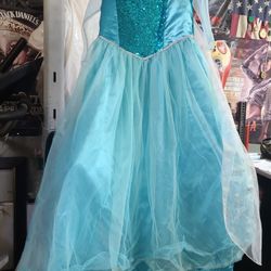 Elsa Dress Costume