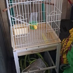Cocktail Bird With Cage