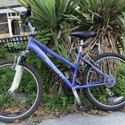 Bicycle  Schwinn Size 24 