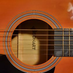 Acoustic Guitar 