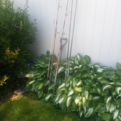 Fishing Poles No Rails 6