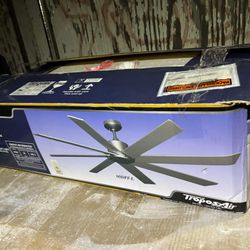 Indoor Ceiling Fan New