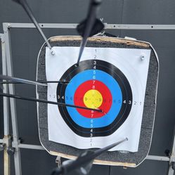 Used Archery Target