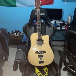 oscar schimidt 12 string