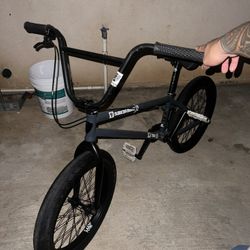 Subrosa BMX Bike X Rant