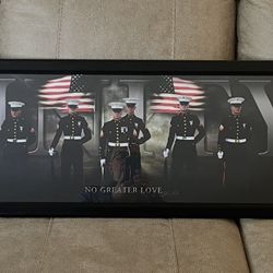 Marines UNITY “ no greater love” 14x38 framed art.