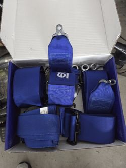 Sparco Blue Racing Harness 5pt