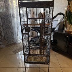 Bird Cage