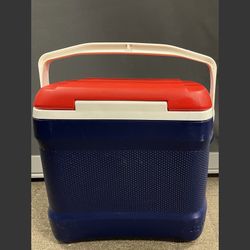 Igloo 30 Quart Cooler