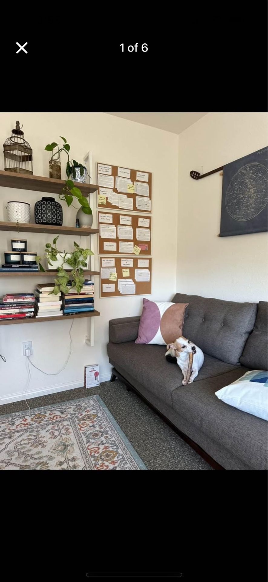 MCM Sleeper Couch