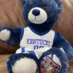 Rare Kentucky Wildcats x Star Wars Plush Bear – Limited Edition Crossover Collectible