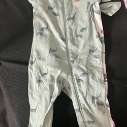 Dinosaur 2 piece pajamas