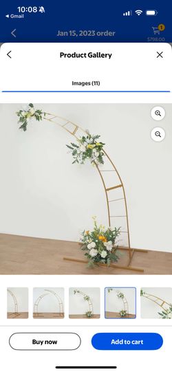 Gold Back Drop Arch