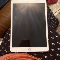 iPad 10th Gen