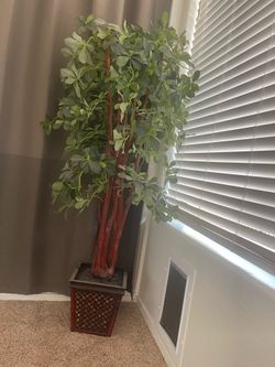 5ft Ficus Artificial Trees with Natural Curved Trunks, 60" Tall Lush Faux Tree for Home Decor Indoor